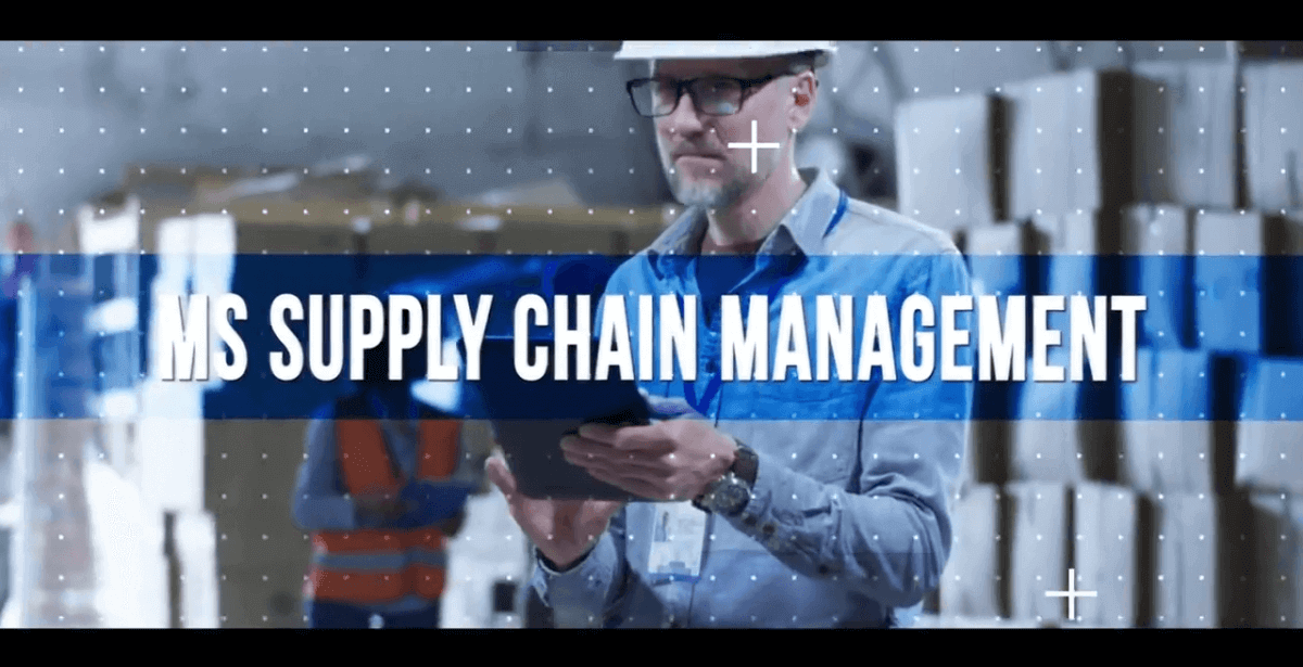 Develop and manage global supply chain strategies